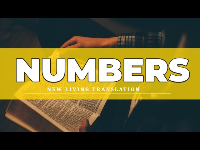 Numbers (NLT) - Audio Bible with Text