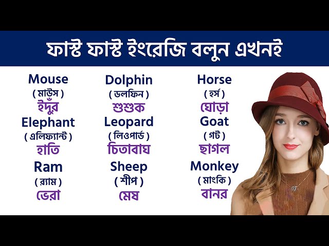 Basic Word Meaning English to Bangla Daily Use Word | English word list with meaning in Bangla