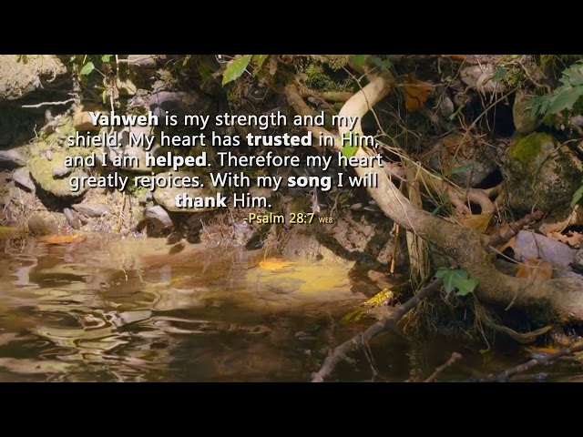 Songs and Scripture // Daystar Reflections