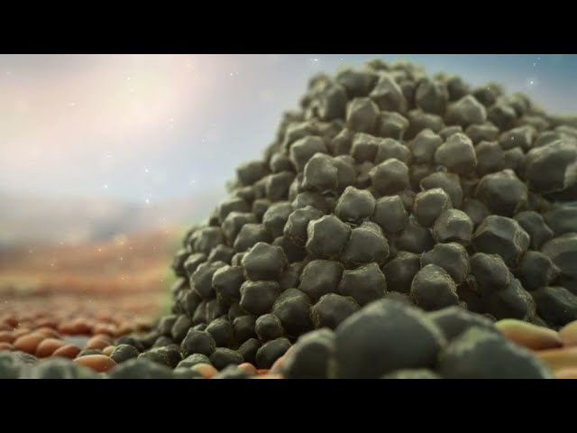 How Cancer Cells are Formed by UV Rays