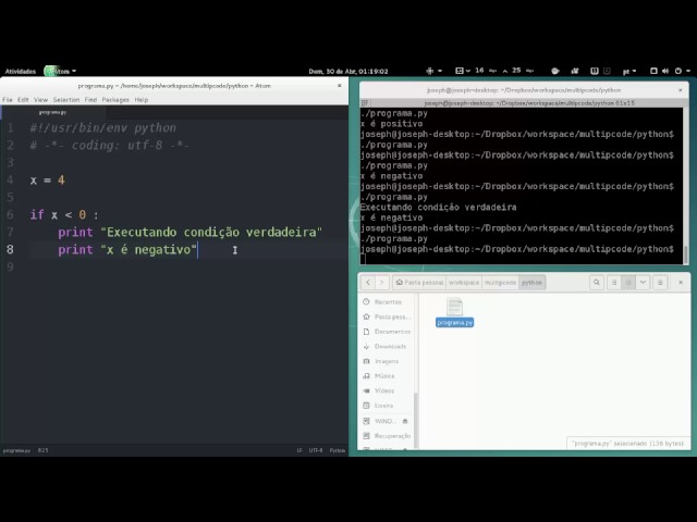 [Python 11] Conditional Control Structure - if else elif
