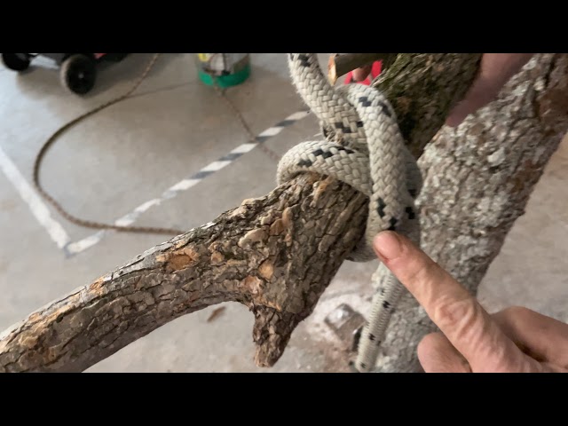 How to Tie a Clove Hitch for Limb Lowering
