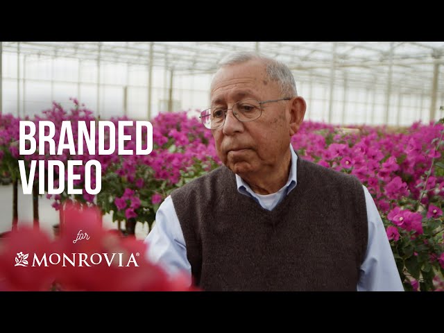 Testimonial Video Production for Monrovia Nursery Company | Gilbert Resendez I Corporate Video