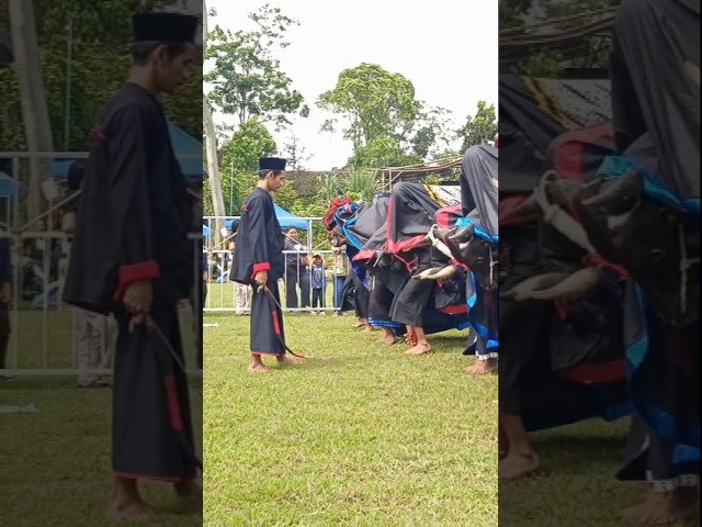 MANGUN JOYO PUTRO On Javanese TV | #short #art #culture #carnaval #sports #trip #subscribe