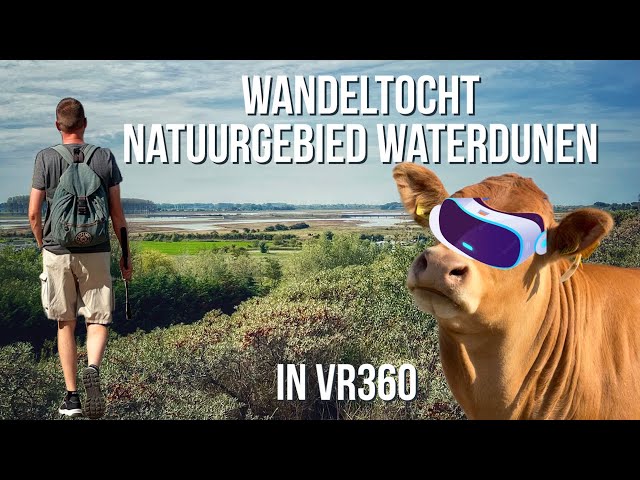 360 VR Walking in nature reserve Waterdunen