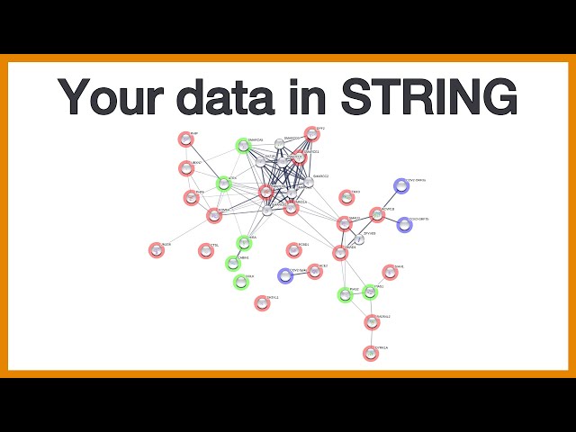 Your data in STRING: Brief introduction to how to expand STRING through the "My Data" functionality