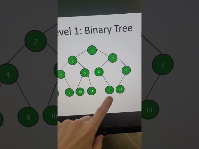 The 3 Levels of Binary Trees | Standard, Binary Search Trees (BST) and Self-Balancing (AVL)