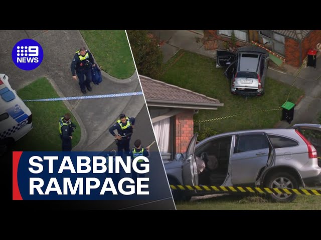 Man on the run after stabbing spree on family members | 9 News Australia