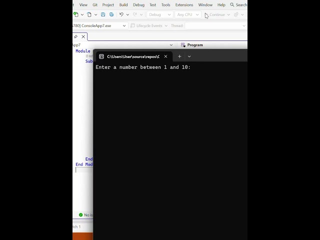 VB.NET Do Loop