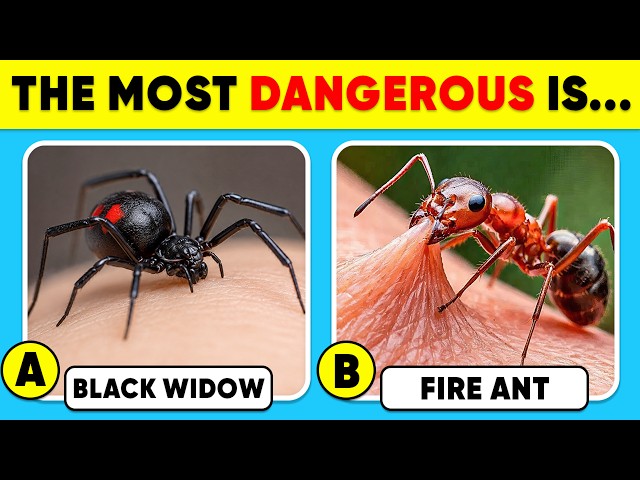 How Well Do You Know Animals? 🕷️🐜✅ General Knowledge Trivia Quiz