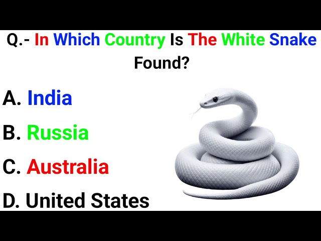 99% of People Can't Get 12/12! 🤯 General Knowledge Quiz