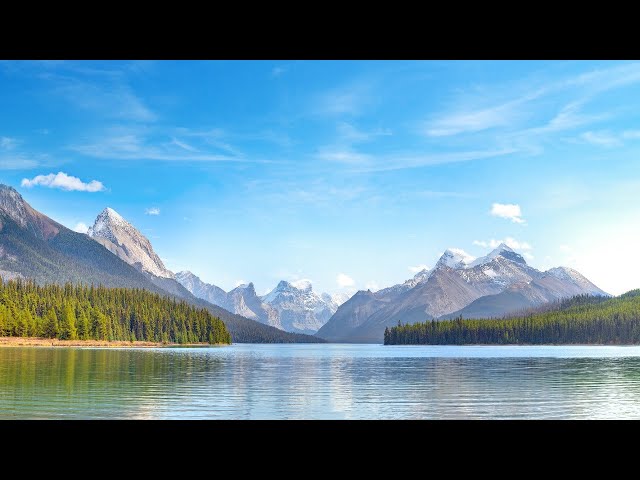 Daily Calm Live Stream: Acceptance