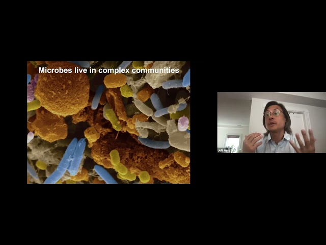 Jeff Gore: Emergent phases of diversity and dynamics in ecological communities
