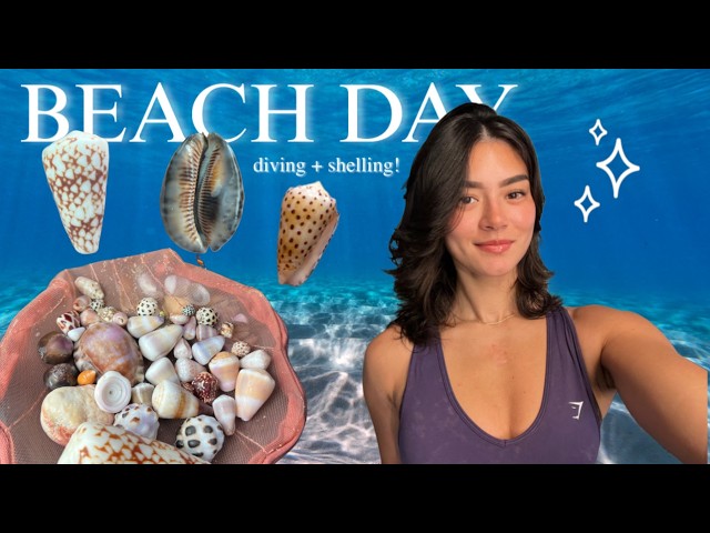 beach day vlog! | shore diving & shelling in hawai'i