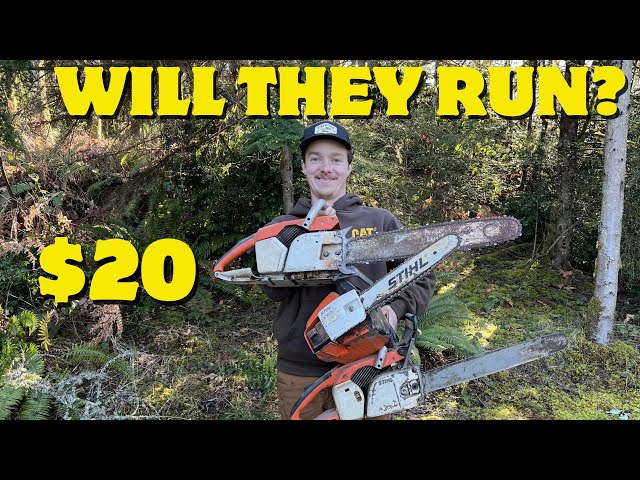 I Bought 3 Chainsaws For $20 Can They Be Saved?
