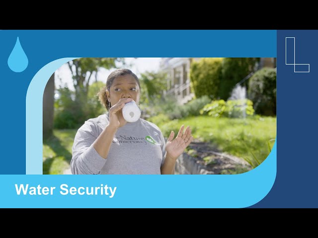 Gray, Green, Blue: Water Security and YOU! Part 1- Water Security
