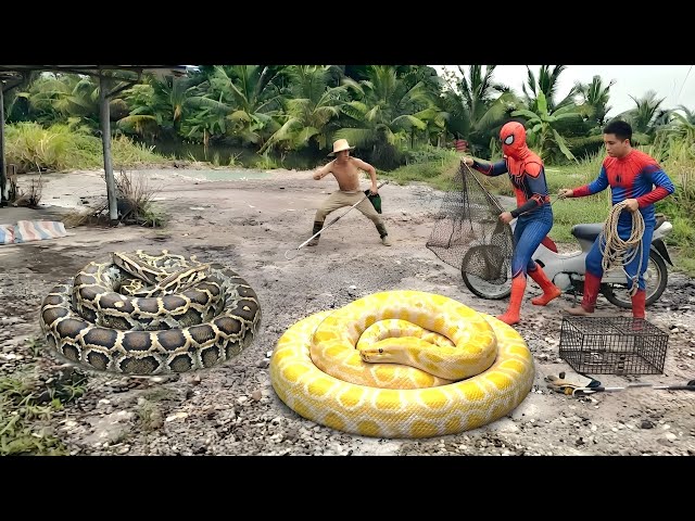 Brave Hunter Rescues Young Man From 2 Giant Pythons