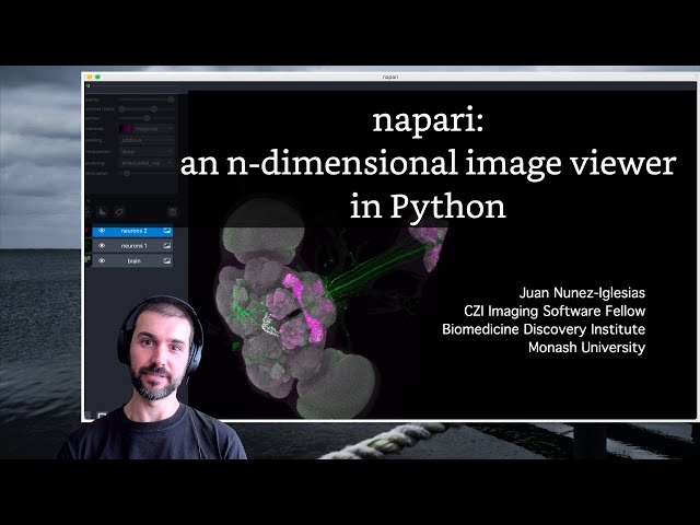 napari: an n-dimensional image viewer in Python (Vis2021)