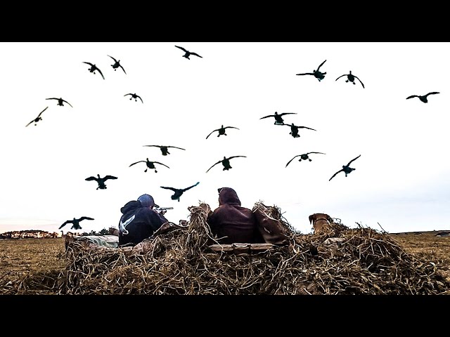 2 GUYS 32 DUCKS AND A BANDED PINTAIL!