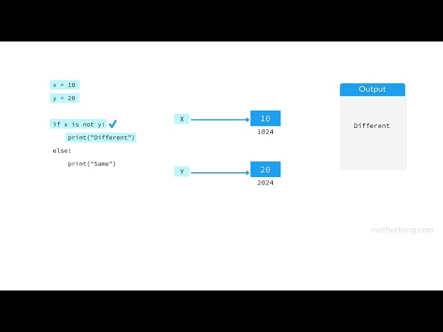 Identity Operator in Python | Learn Python in Tamil | Mothertong Tamil