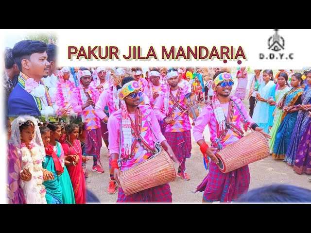 PAKUR JILA MANDARIA// SANTALI VIDEO//DON ENEC// DDYC