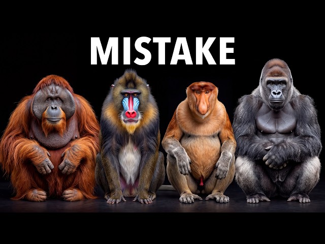 Why Evolution Can't Stop Creating Primates