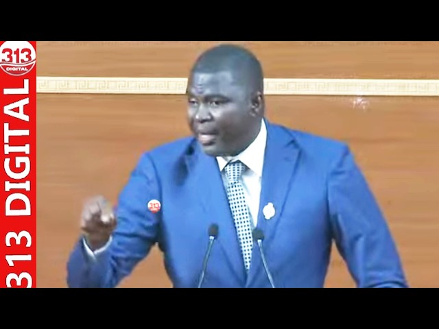Here is the full historic speech by Pastef deputy Amadou BA before the National Assembly