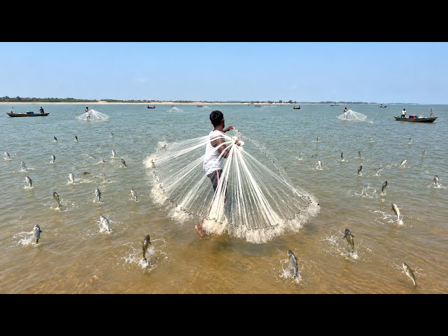 Best Net Fishing - Traditional Catching Fish in The River 