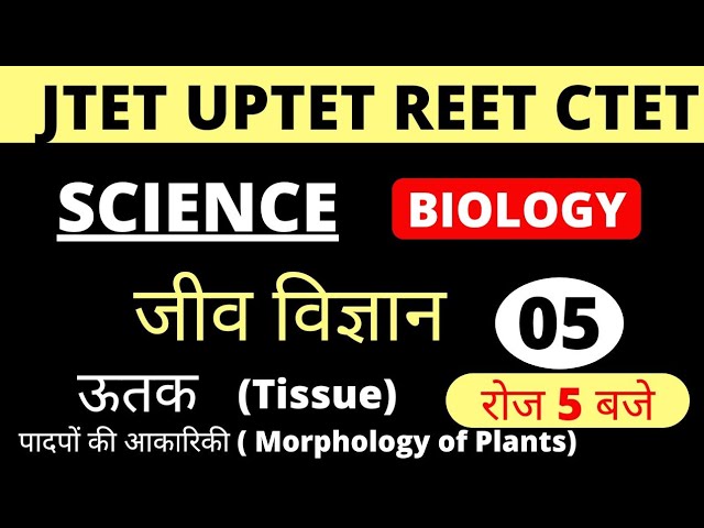 JTET Science | Jtet Biology | Jtet Science  | SCIENCE CLASS | UPTET | REET | CTET |