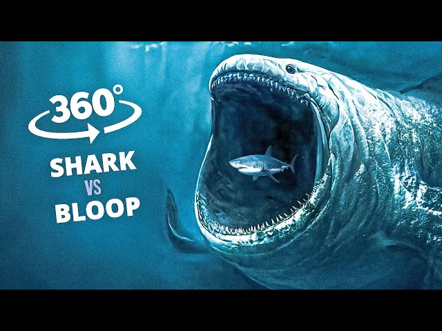 360° VR BLOOP vs shark | Underwater Horror Experience | 4K VR 360 Video