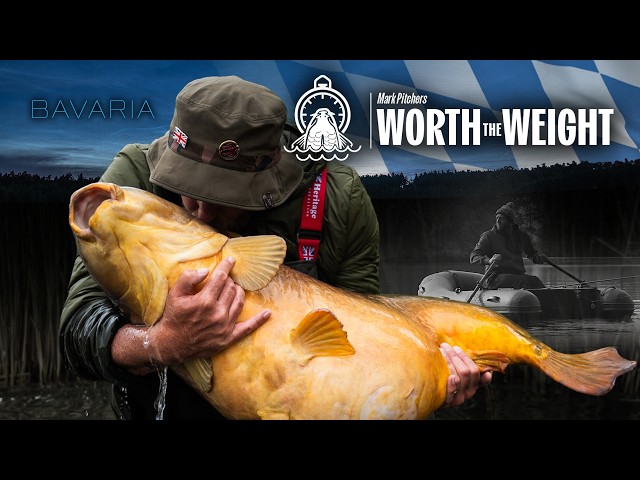 MARK PITCHERS' WORTH THE WEIGHT- HUGE GERMAN CARP!