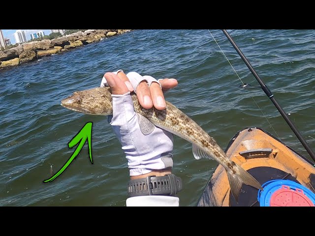 Should I Have Eaten This??? Lizardfish Catch and Cook