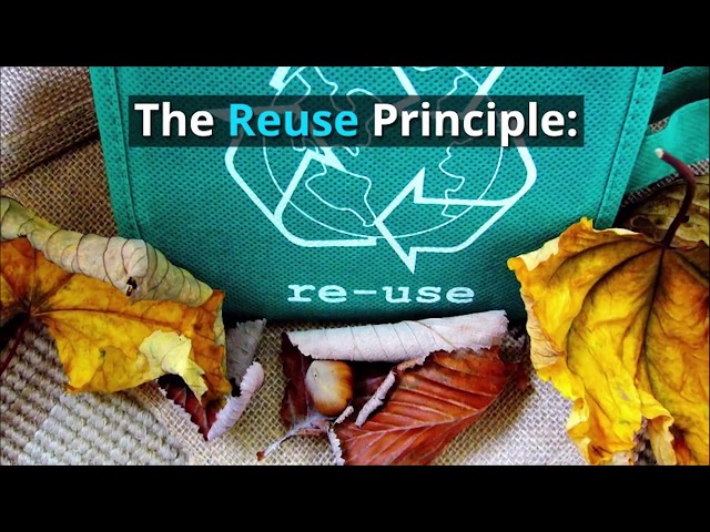 User Interface (UI) Design Principles