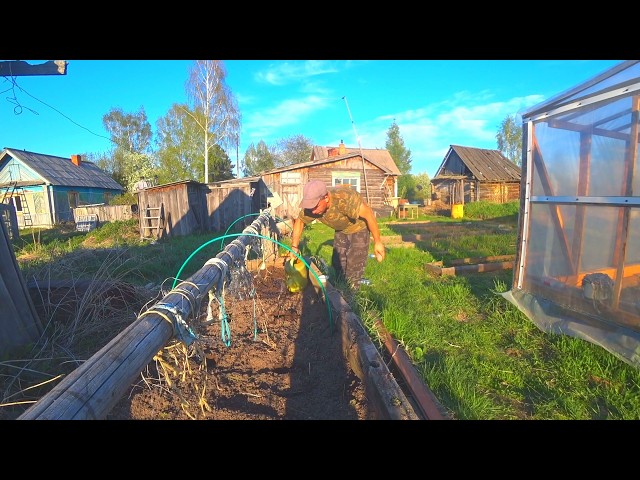 CHOSE COUNTRY LIFE.