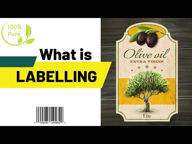 Labelling in Marketing | Understanding the Concept, Types, Functions and Importance