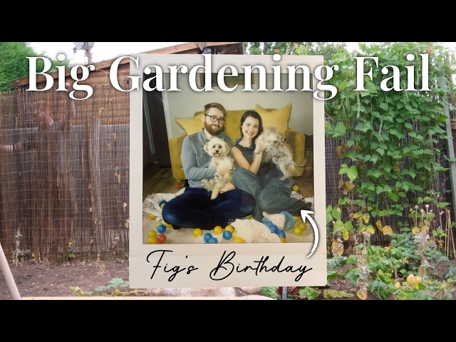 Trying to Make Our Garden More Private… It Didn’t Go to Plan 🌿 | Cottage Garden Vlog