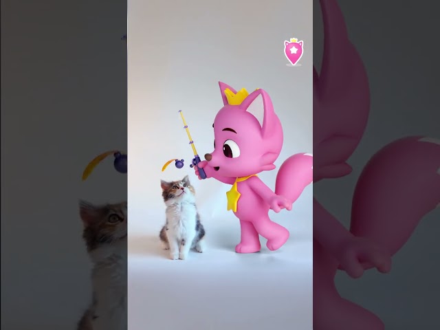 Pinkfong is here Ep.06 #Cat #pinkfongshorts #PinkfongIsHere