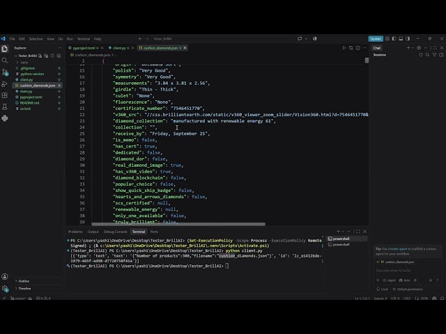 BrillAI Installation Tutorial
