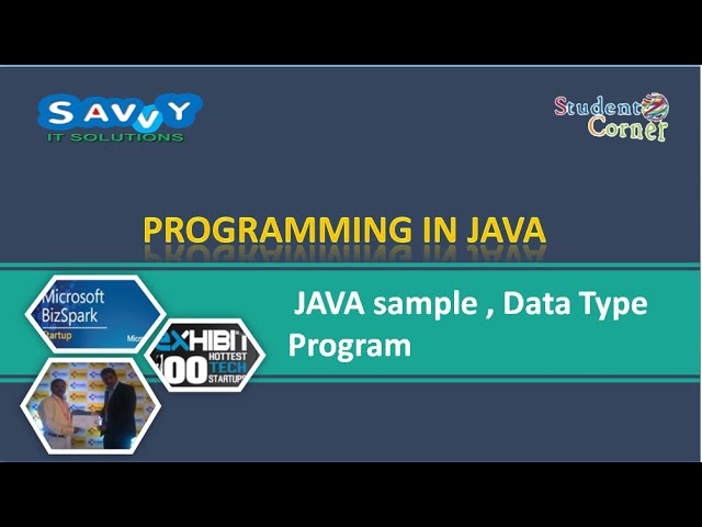 Programming in JAVA - sample, data type  program