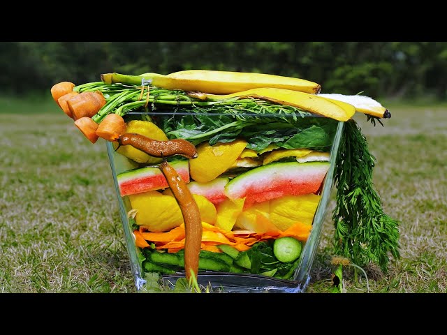 GARBAGE TIME LAPSE 115 DAYS