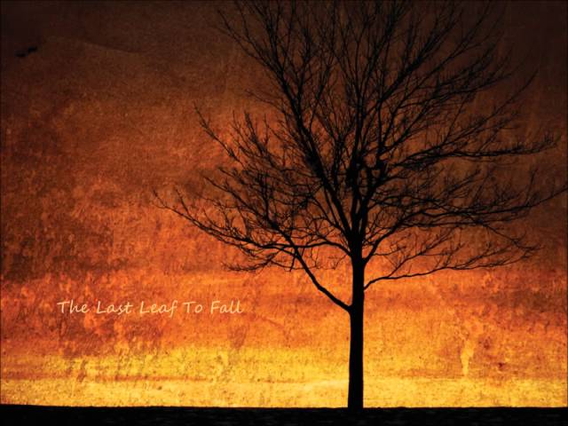 Mae - Seasons