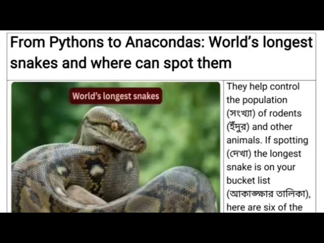 From Pythons to Anaconda : World's longest snakes - Where they found