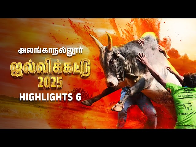 அவனியாபுரம் ஜல்லிக்கட்டு 2025 | Jallikattu 2025 | அலங்காநல்லூர் 6 | Tamil Nadu Festival @zeetamil