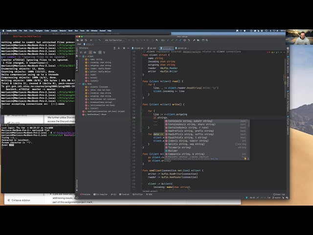 Go programming: code refactoring, best practices.