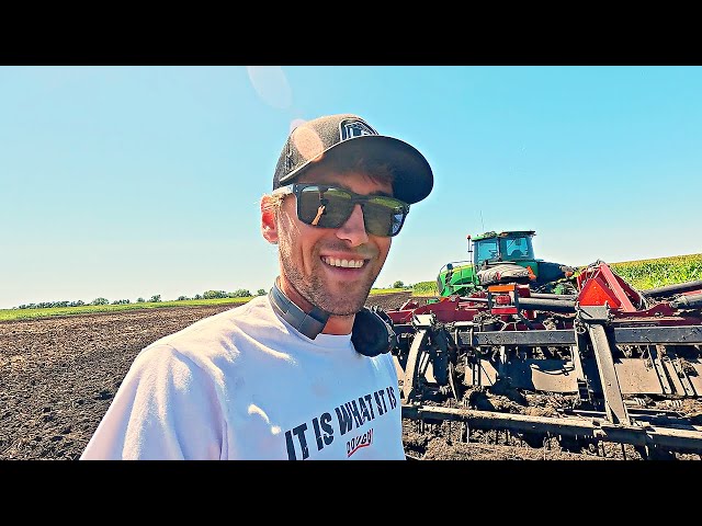 Summer Tillage And I Managed To Plug Everything With Mud! 