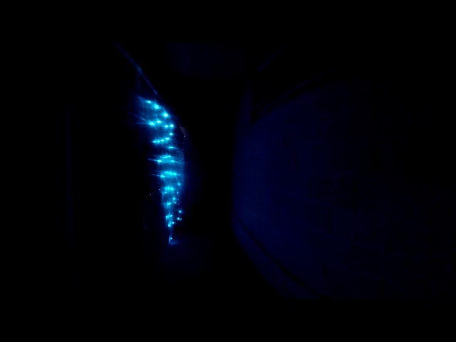 Terminals - Elsewhence Family Reunion 2018