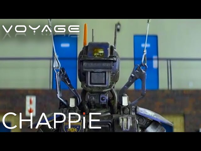 Scout 22 | Chappie | Voyage