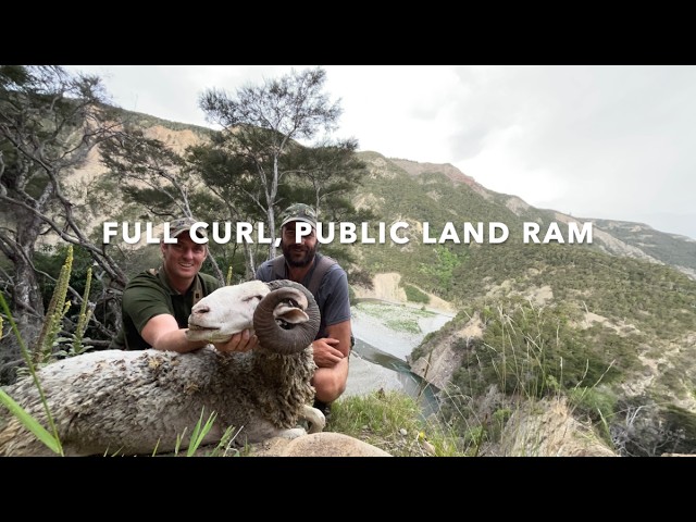 2 stroke & Trophy Rams (Jetboat, Wild Sheep hunt)