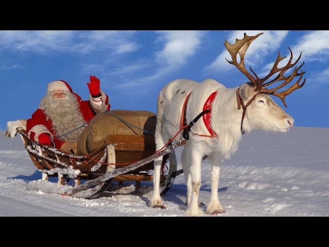 Santa Claus for kids 🦌🎅 Best reindeer rides of Father Christmas in Lapland Finland for children