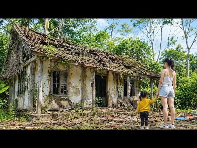 After Many Years, She Returned to the Forest to Revive an Abandoned House